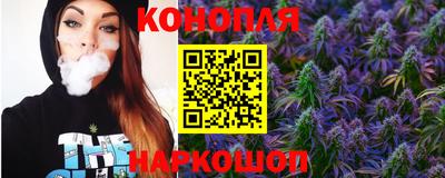 скорость Гатчина