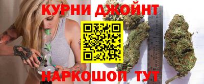 скорость Гатчина