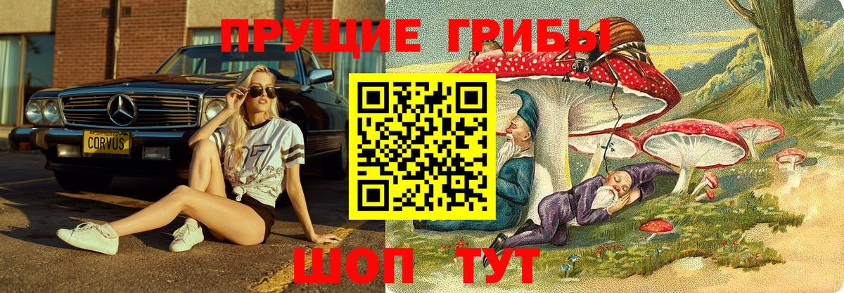 Нововоронеж  Псилоцибиновые грибы Psilocybine cubensis  Псилоцибиновые грибы Psilocybe  Вход с VPN 