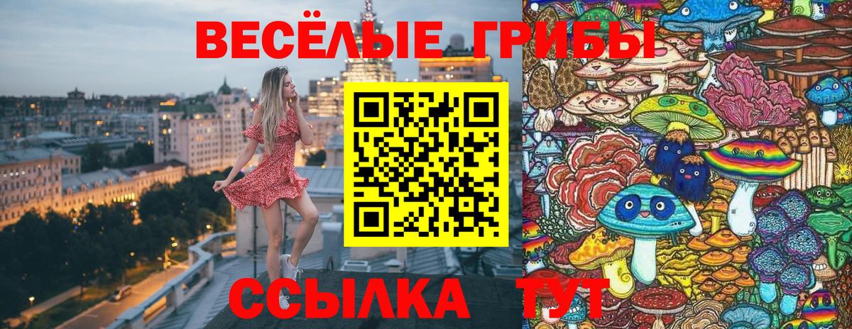 Галлюциногенные грибы MAGIC MUSHROOMS Нововоронеж